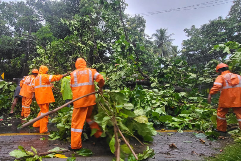 കാറ്റിലും മഴയിലും തിരുവല്ല താലൂക്കിന്റെ വിവിധ ഭാഗങ്ങളിൽ മരങ്ങൾ കടപുഴകി വീടുകൾക്കു മുകളിലും വൈദ്യുതലൈനുകളിലും വീണു.